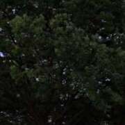 ヒメ日記 2026/04/07 18:49 投稿 ともえ 鶯谷おかあさん