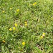 ともえ どっちだろうね🤔 鶯谷おかあさん