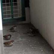 ヒメ日記 2026/04/16 05:59 投稿 ともえ 鶯谷おかあさん