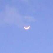 ヒメ日記 2026/04/20 19:11 投稿 ともえ 鶯谷おかあさん