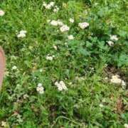 ヒメ日記 2026/04/25 06:49 投稿 ともえ 鶯谷おかあさん