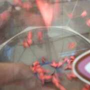 ヒメ日記 2026/04/28 13:50 投稿 ともえ 鶯谷おかあさん