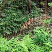 ヒメ日記 2026/07/16 13:39 投稿 ともえ 鶯谷おかあさん