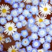 ヒメ日記 2025/06/01 17:20 投稿 藤真 人妻エステ