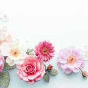 ヒメ日記 2025/06/18 12:01 投稿 藤真 人妻エステ