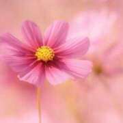 ヒメ日記 2025/10/16 14:52 投稿 藤真 人妻エステ