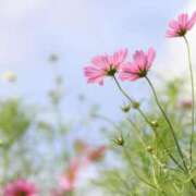 ヒメ日記 2025/10/22 19:43 投稿 藤真 人妻エステ