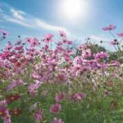 ヒメ日記 2025/11/01 17:17 投稿 藤真 人妻エステ