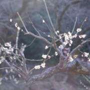 ヒメ日記 2026/02/07 14:59 投稿 藤真 人妻エステ