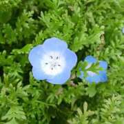 ヒメ日記 2026/04/05 10:19 投稿 藤真 人妻エステ