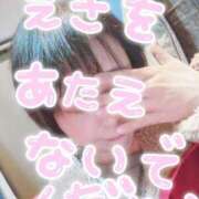 ヒメ日記 2024/12/25 11:38 投稿 兼綱凛子 五十路マダムエクスプレス神戸店(カサブランカグループ)