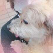 ヒメ日記 2025/05/03 11:44 投稿 兼綱凛子 五十路マダムエクスプレス神戸店(カサブランカグループ)