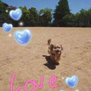 ヒメ日記 2025/05/10 10:28 投稿 兼綱凛子 五十路マダムエクスプレス神戸店(カサブランカグループ)