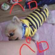 ヒメ日記 2025/05/29 11:18 投稿 兼綱凛子 五十路マダムエクスプレス神戸店(カサブランカグループ)