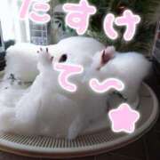 ヒメ日記 2025/07/06 19:46 投稿 兼綱凛子 五十路マダムエクスプレス神戸店(カサブランカグループ)