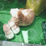 ヒメ日記 2025/07/10 10:20 投稿 兼綱凛子 五十路マダムエクスプレス神戸店(カサブランカグループ)