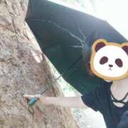 ヒメ日記 2025/08/01 14:16 投稿 兼綱凛子 五十路マダムエクスプレス神戸店(カサブランカグループ)