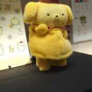 ヒメ日記 2025/08/17 11:58 投稿 兼綱凛子 五十路マダムエクスプレス神戸店(カサブランカグループ)