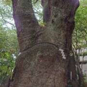 ヒメ日記 2025/08/23 19:02 投稿 兼綱凛子 五十路マダムエクスプレス神戸店(カサブランカグループ)