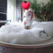 ヒメ日記 2025/08/24 10:22 投稿 兼綱凛子 五十路マダムエクスプレス神戸店(カサブランカグループ)