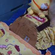 ヒメ日記 2025/09/14 09:28 投稿 兼綱凛子 五十路マダムエクスプレス神戸店(カサブランカグループ)