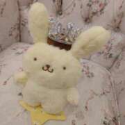 ヒメ日記 2025/10/05 11:40 投稿 兼綱凛子 五十路マダムエクスプレス神戸店(カサブランカグループ)