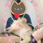 ヒメ日記 2025/10/16 10:42 投稿 兼綱凛子 五十路マダムエクスプレス神戸店(カサブランカグループ)