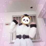 ヒメ日記 2025/11/30 11:38 投稿 兼綱凛子 五十路マダムエクスプレス神戸店(カサブランカグループ)