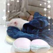 ヒメ日記 2026/02/04 11:28 投稿 兼綱凛子 五十路マダムエクスプレス神戸店(カサブランカグループ)