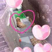 ヒメ日記 2026/06/30 14:28 投稿 兼綱凛子 五十路マダムエクスプレス神戸店(カサブランカグループ)