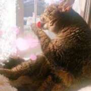 ヒメ日記 2024/12/14 18:38 投稿 徳永美音 五十路マダムエクスプレス神戸店(カサブランカグループ)