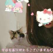 ヒメ日記 2025/02/08 18:00 投稿 徳永美音 五十路マダムエクスプレス神戸店(カサブランカグループ)