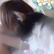 ヒメ日記 2025/05/11 11:36 投稿 徳永美音 五十路マダムエクスプレス神戸店(カサブランカグループ)