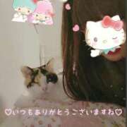 ヒメ日記 2025/08/20 00:20 投稿 徳永美音 五十路マダムエクスプレス神戸店(カサブランカグループ)