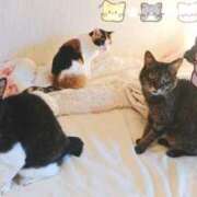 ヒメ日記 2025/10/20 11:38 投稿 徳永美音 五十路マダムエクスプレス神戸店(カサブランカグループ)