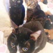 ヒメ日記 2025/10/30 12:02 投稿 徳永美音 五十路マダムエクスプレス神戸店(カサブランカグループ)