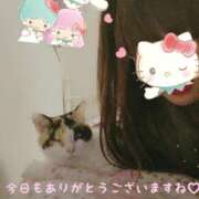 ヒメ日記 2026/03/08 06:58 投稿 徳永美音 五十路マダムエクスプレス神戸店(カサブランカグループ)