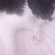 ヒメ日記 2026/03/16 15:24 投稿 徳永美音 五十路マダムエクスプレス神戸店(カサブランカグループ)