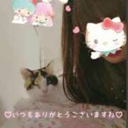 ヒメ日記 2026/06/14 06:20 投稿 徳永美音 五十路マダムエクスプレス神戸店(カサブランカグループ)