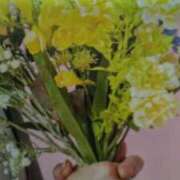 ヒメ日記 2025/02/28 23:42 投稿 古田 笑 五十路マダムエクスプレス神戸店(カサブランカグループ)