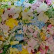 ヒメ日記 2025/03/01 19:52 投稿 古田 笑 五十路マダムエクスプレス神戸店(カサブランカグループ)