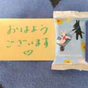 ヒメ日記 2025/04/19 08:56 投稿 古田 笑 五十路マダムエクスプレス神戸店(カサブランカグループ)