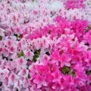 ヒメ日記 2025/05/01 13:40 投稿 古田 笑 五十路マダムエクスプレス神戸店(カサブランカグループ)