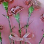 ヒメ日記 2025/05/10 11:48 投稿 古田 笑 五十路マダムエクスプレス神戸店(カサブランカグループ)