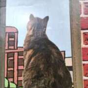 ヒメ日記 2025/05/26 22:22 投稿 古田 笑 五十路マダムエクスプレス神戸店(カサブランカグループ)