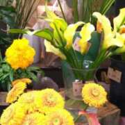 ヒメ日記 2025/05/31 17:16 投稿 古田 笑 五十路マダムエクスプレス神戸店(カサブランカグループ)