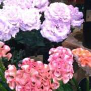 ヒメ日記 2025/06/07 19:44 投稿 古田 笑 五十路マダムエクスプレス神戸店(カサブランカグループ)