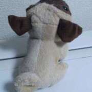 ヒメ日記 2025/06/14 21:52 投稿 古田 笑 五十路マダムエクスプレス神戸店(カサブランカグループ)