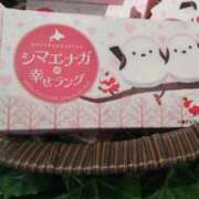 ヒメ日記 2025/07/23 18:52 投稿 古田 笑 五十路マダムエクスプレス神戸店(カサブランカグループ)