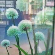 ヒメ日記 2025/07/24 08:04 投稿 古田 笑 五十路マダムエクスプレス神戸店(カサブランカグループ)